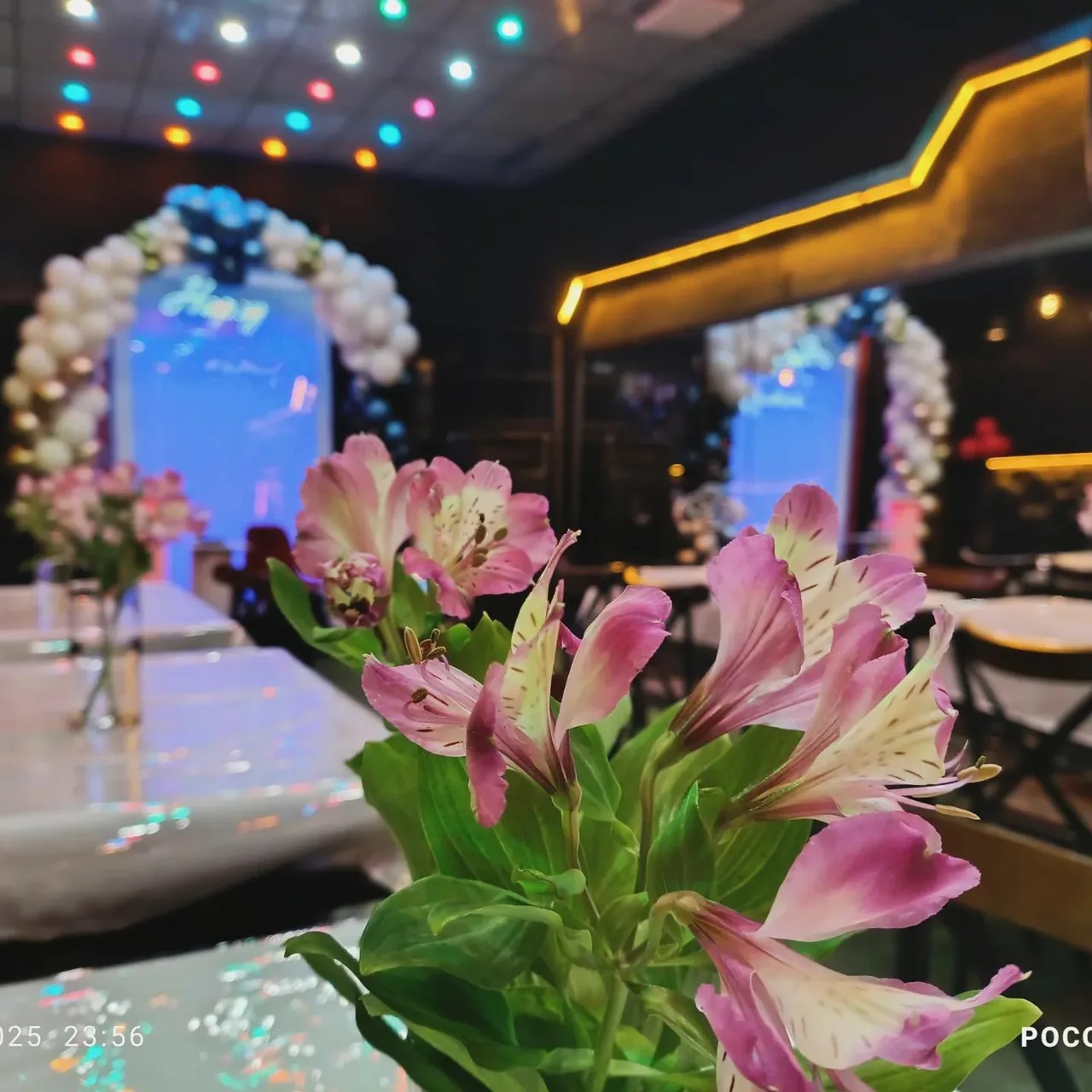 سالن تولد vip - تصویر 3