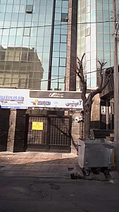 شرکت خدمات مسافرت هوایی و جهانگردی آمیتیس بال پارس