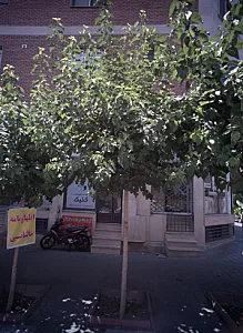 خدمات کامپیوتری کلیک