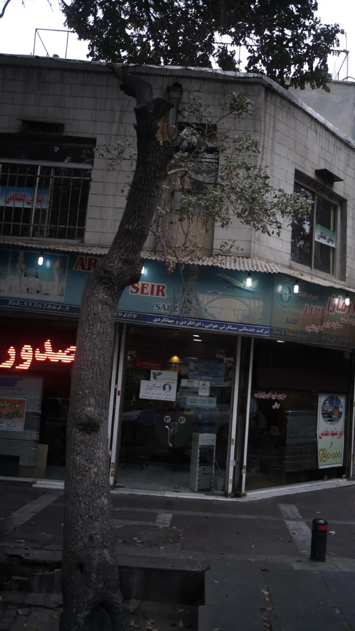 تولید و پخش پوشاک ورزشی فلورا - تصویر 2