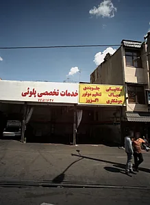خدمات تخصصی پلوئی