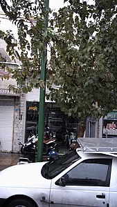 خدمات کامپیوتری ولیعصر