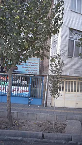خدمات تخصصی ماشین پیر هادی