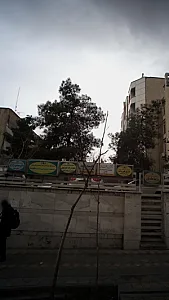 مرکز خدمات روان شناسی و مشاوره شکیبا