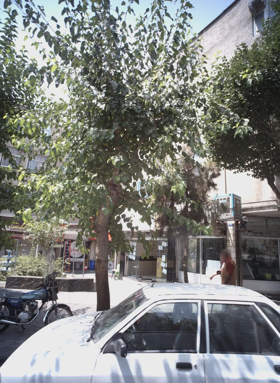 خدمات کامپیوتری