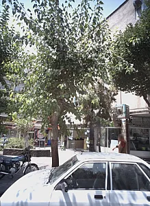 خدمات کامپیوتری