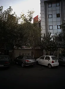 تم تولد و خدمات مجالس ام جی بلک لایت