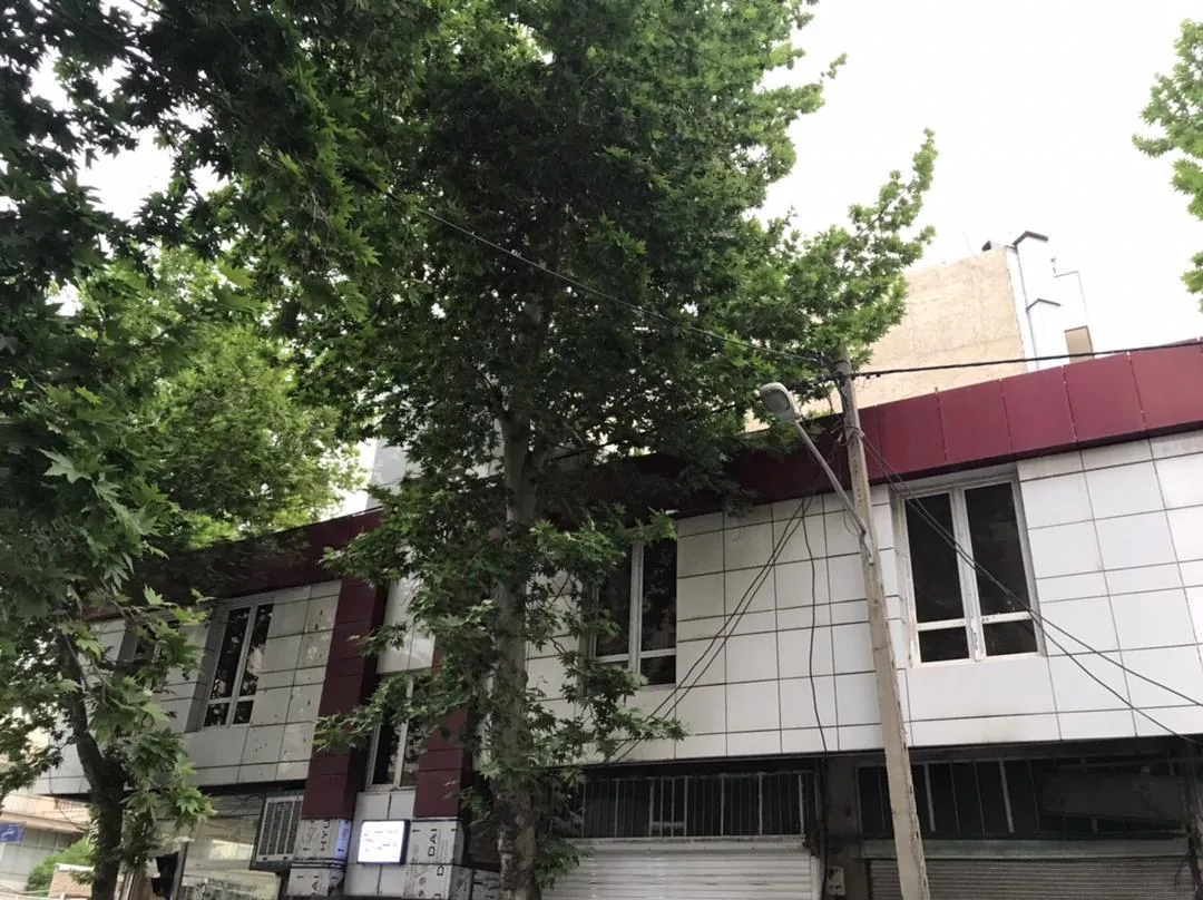 خدمات دندانپزشکی ودندانسازی دانشی - دندانپزشک در تهران - تصویر 2