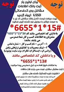 خدمات رایانه سافت ری