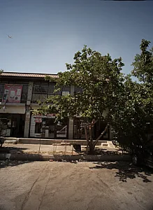 خدمات فنی آسیا