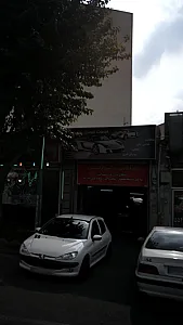 خدمات اتومبیل رایلی