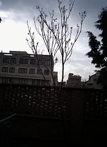 مرکز خدمات پزشکی پارسا