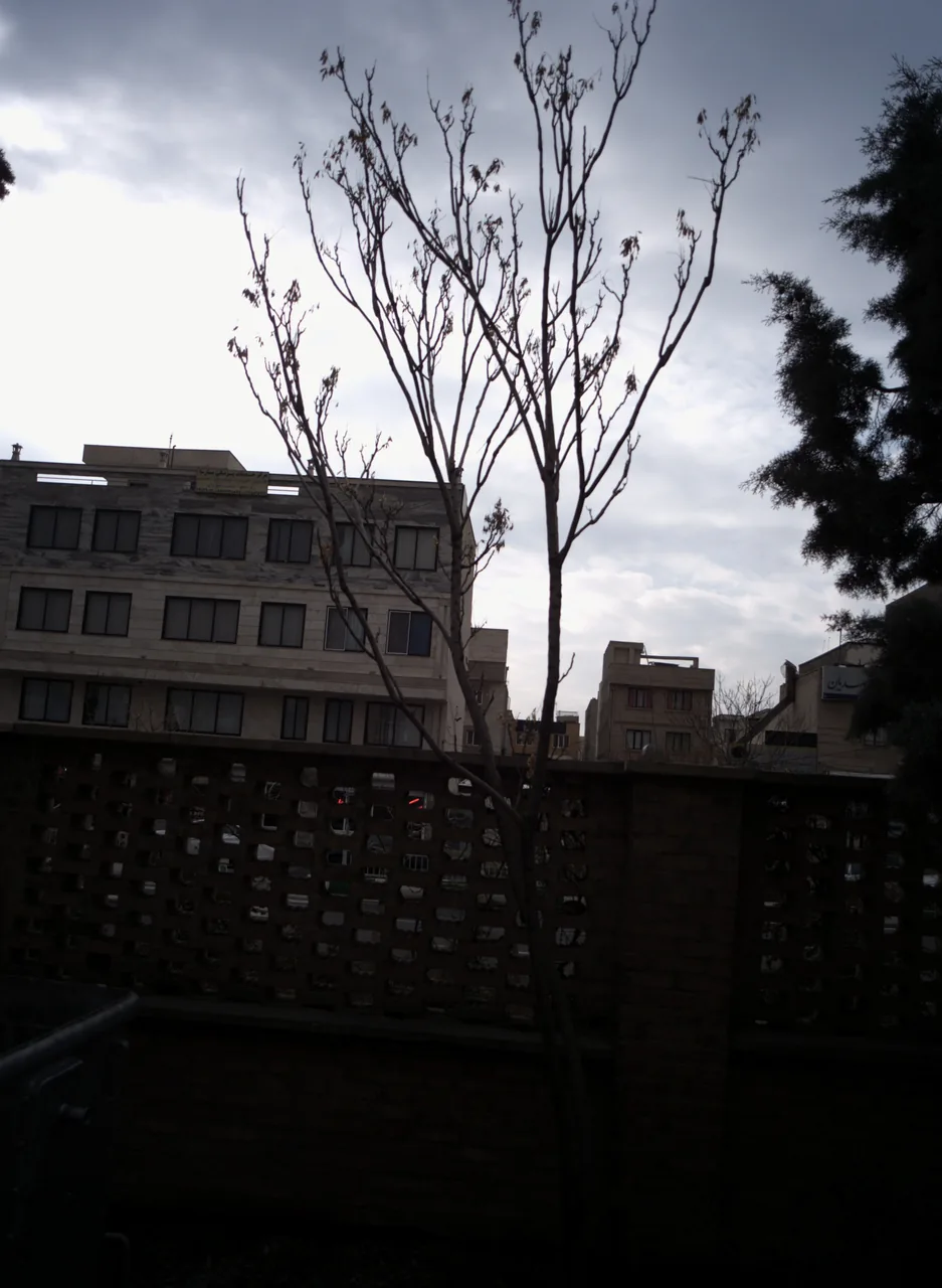 مرکز خدمات پزشکی پارسا