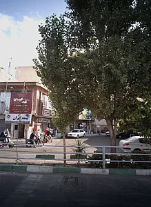 تالار تشریفاتی قصر کیان