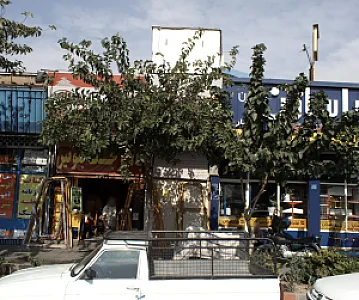موسسه آئین مهرورزی