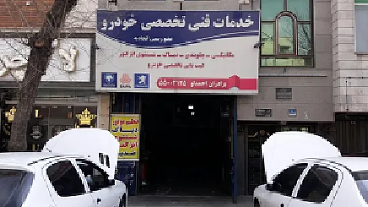 خدمات فنی تخصصی