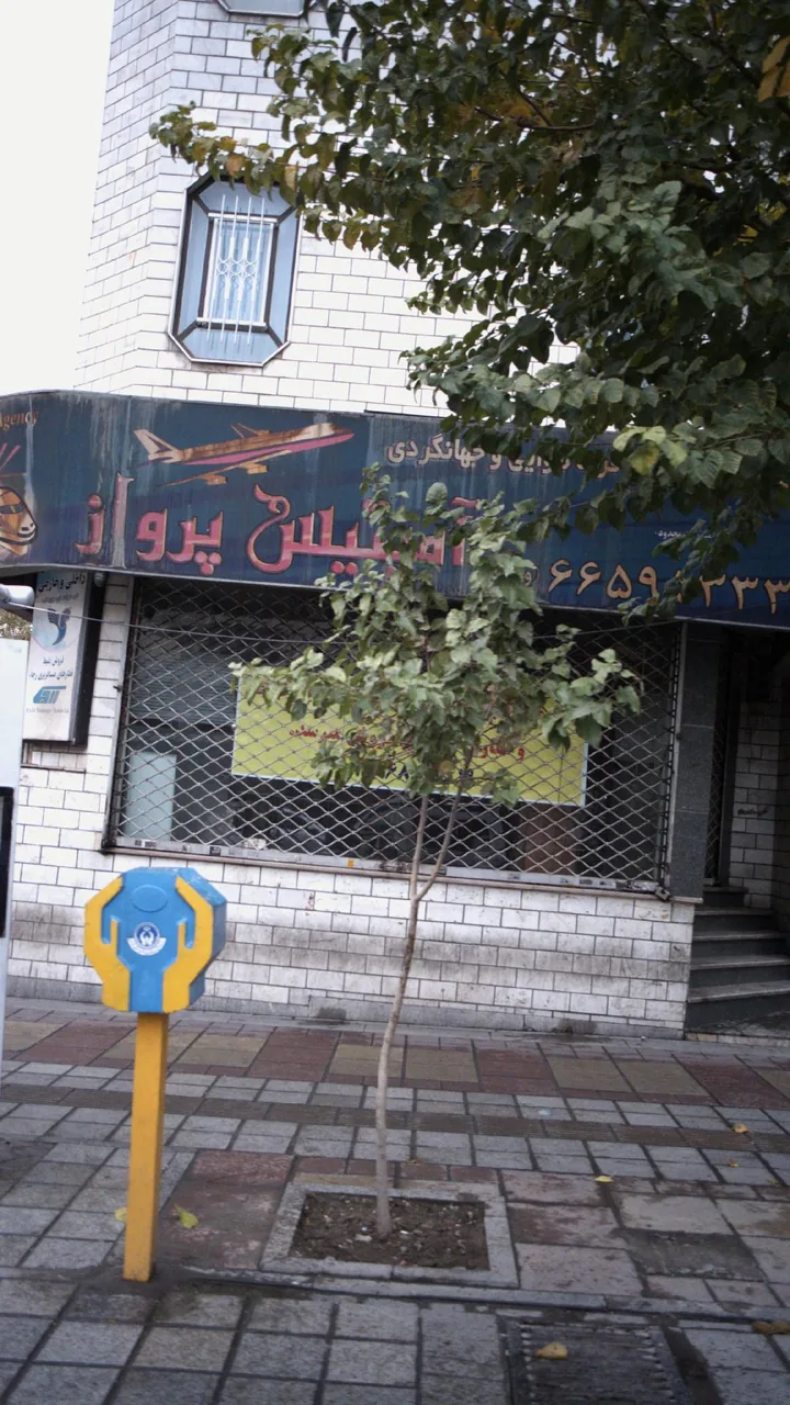 شرکت خدمات مسافرت هوایی و جهانگردی آمیتیس پرواز - تصویر 3