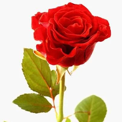 املاک تبریزهوم