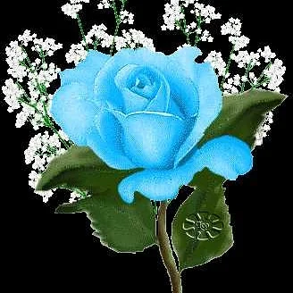 املاک تبریزهوم