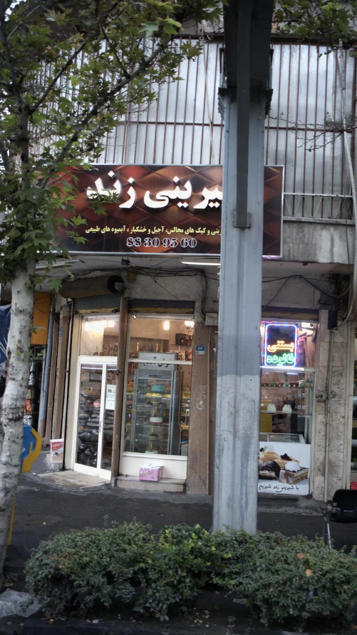 شیرینی زند - تصویر 3