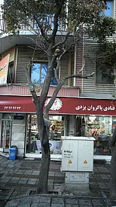 قنادی پاکروان یزدی