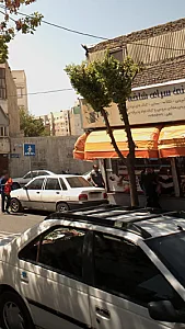 قنادی شاخه نبات