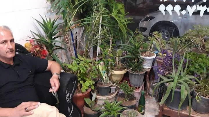 استقلال بار تبریز