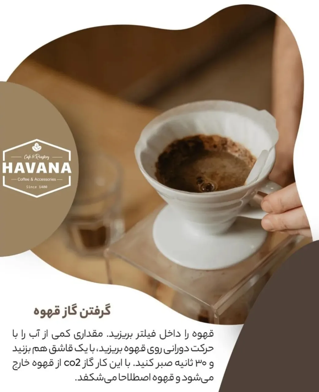 قهوه هاوانا - تصویر 3