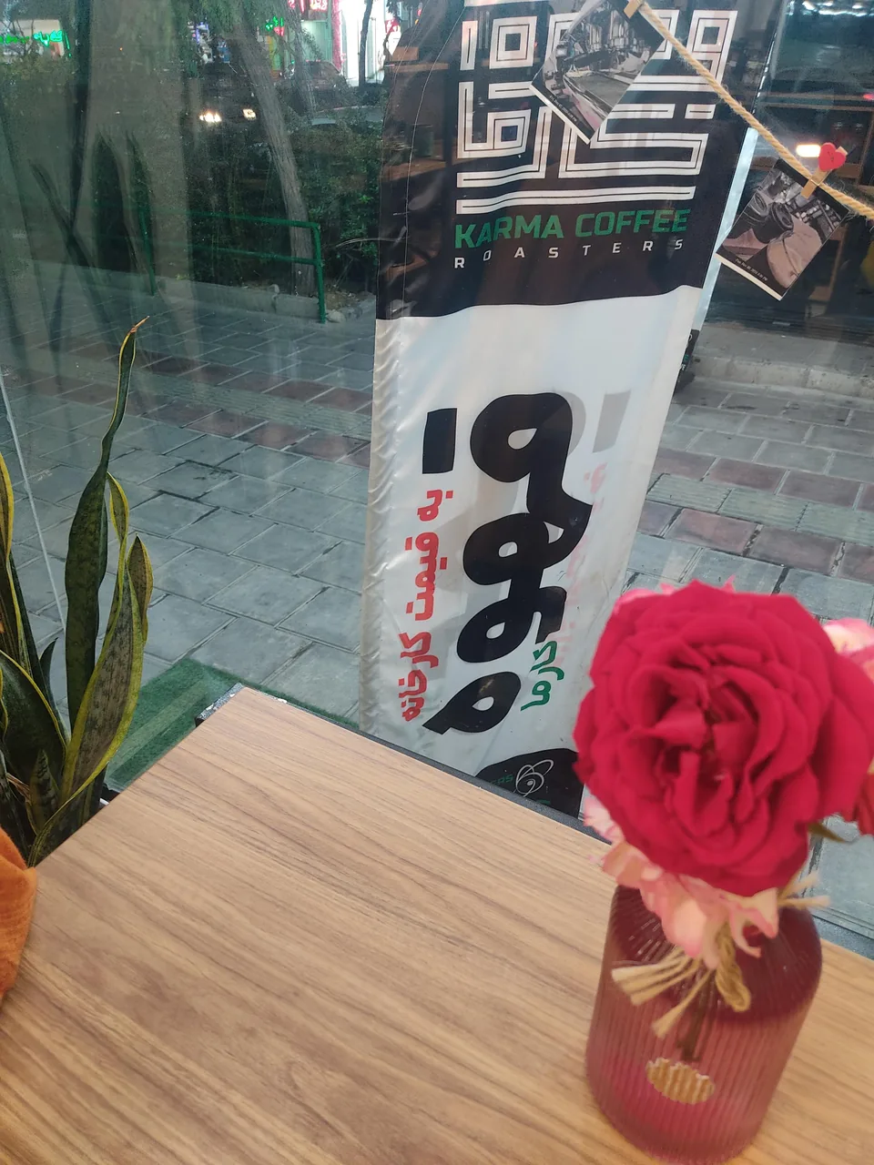 پخش قهوه کارما