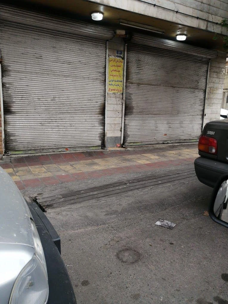 تعمیرگاه اتومبیل سرژیک