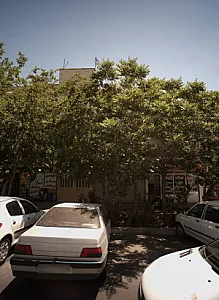 جلوبندی سازی سید طالقانی