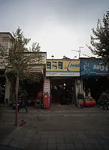 اتوسرویس 110(مسگرها)