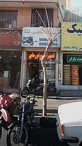 تعمیرگاه تخصصی 444
