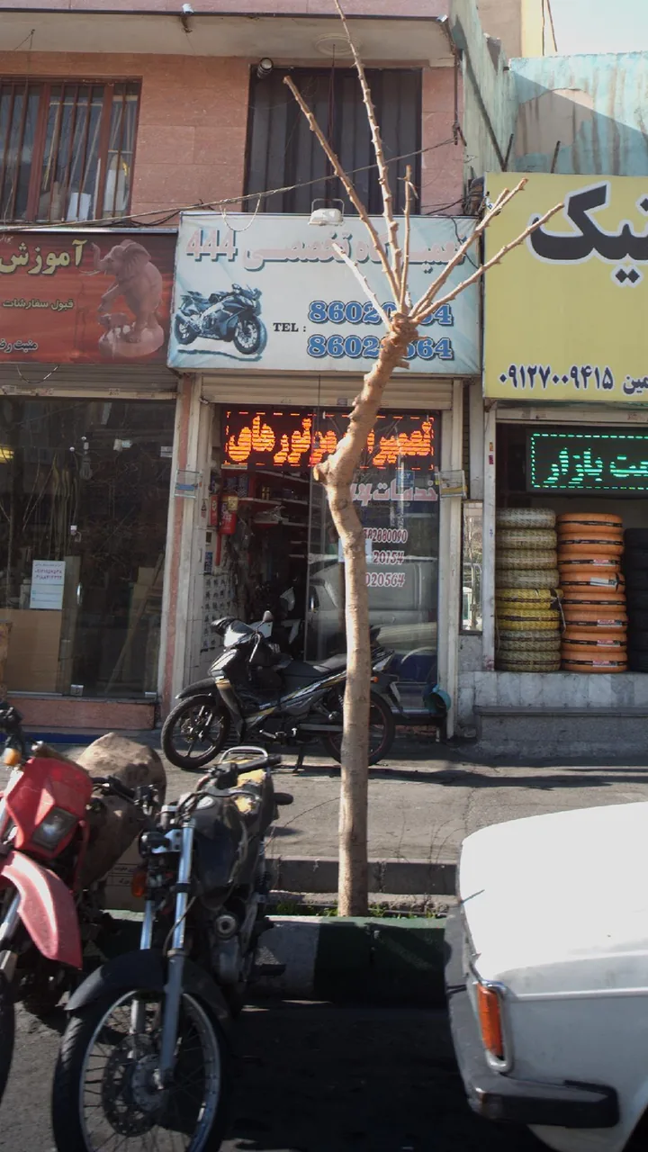 تعمیرگاه تخصصی 444