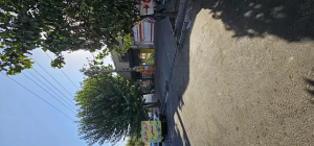 اگزوز سازی علی قدیمی