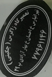 تعمیرگاه زاگرس(چگینی)