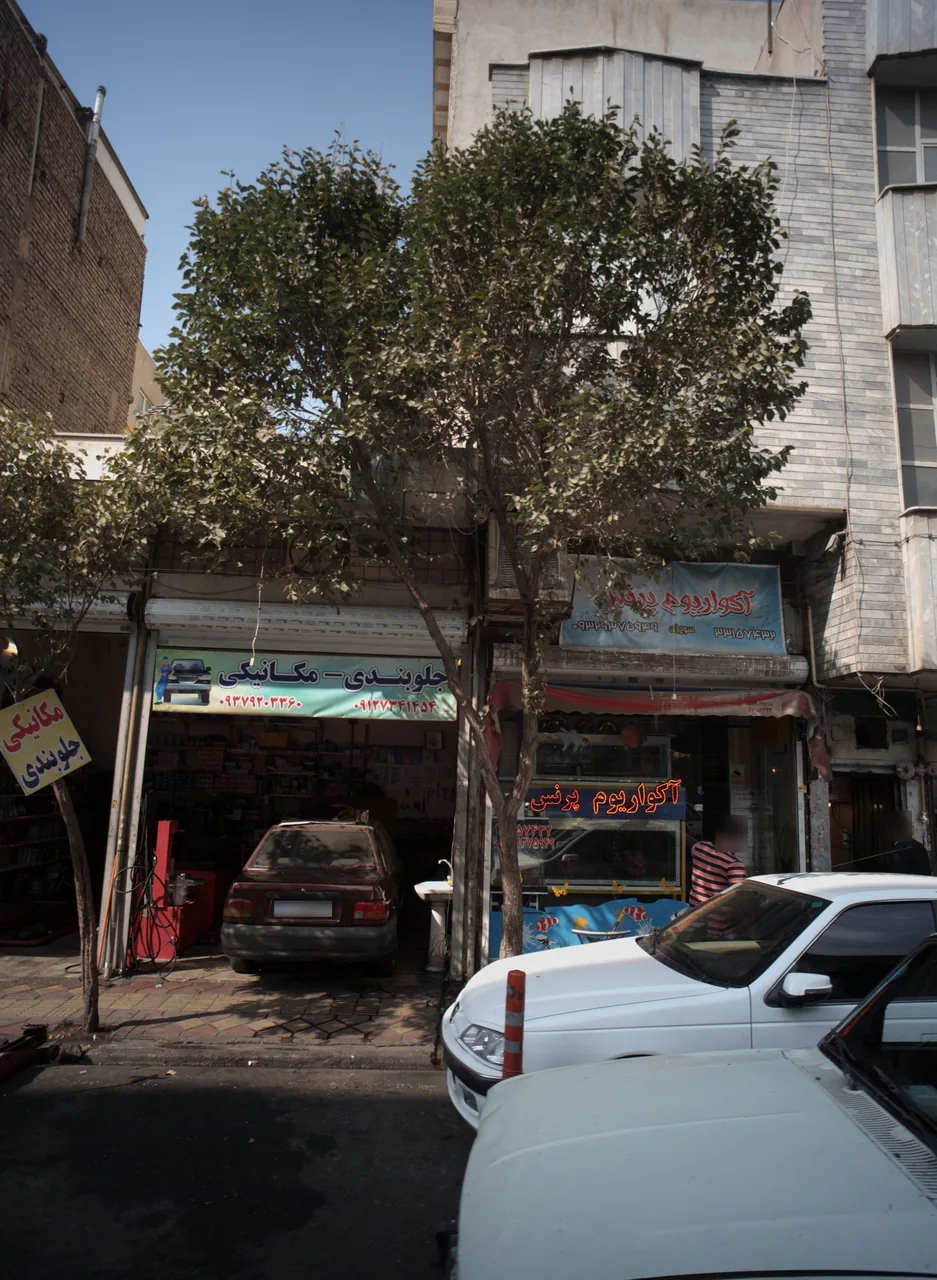 جلوبندی و مکانیکی