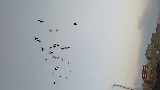 محله سیلاب قوشخانه