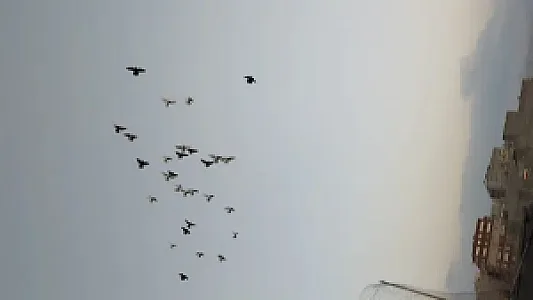 محله سیلاب قوشخانه