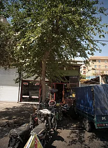 موتور سازی علیرضا