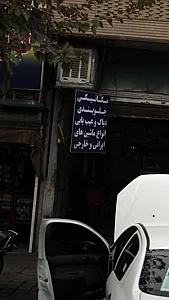 مکانیکی جلوبندی