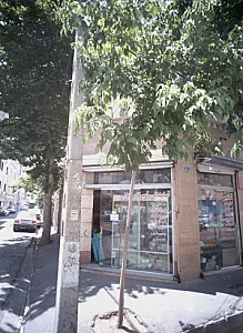 نمایندگی و تعمیرگاه مجاز