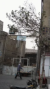 تعمیرگاه پارک