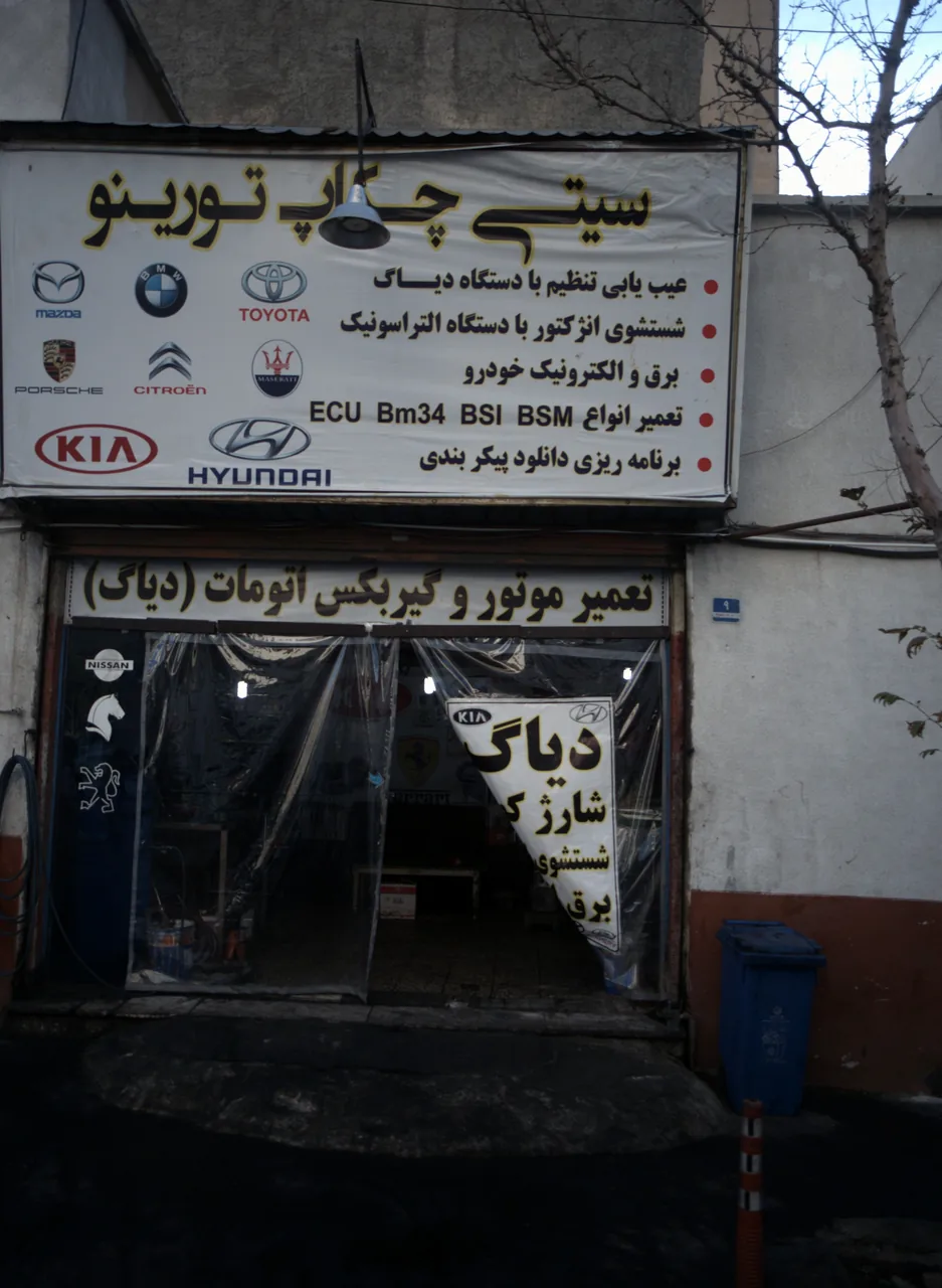 تعمیرگاه تخصصی تورینو