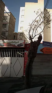 تعمیرگاه تخصصی خودرو جی تی