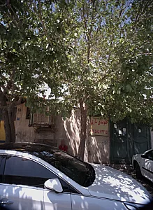 جلوبندی سازی