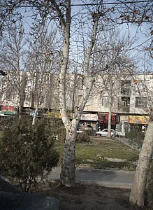 تعمیرگاه اولیائی