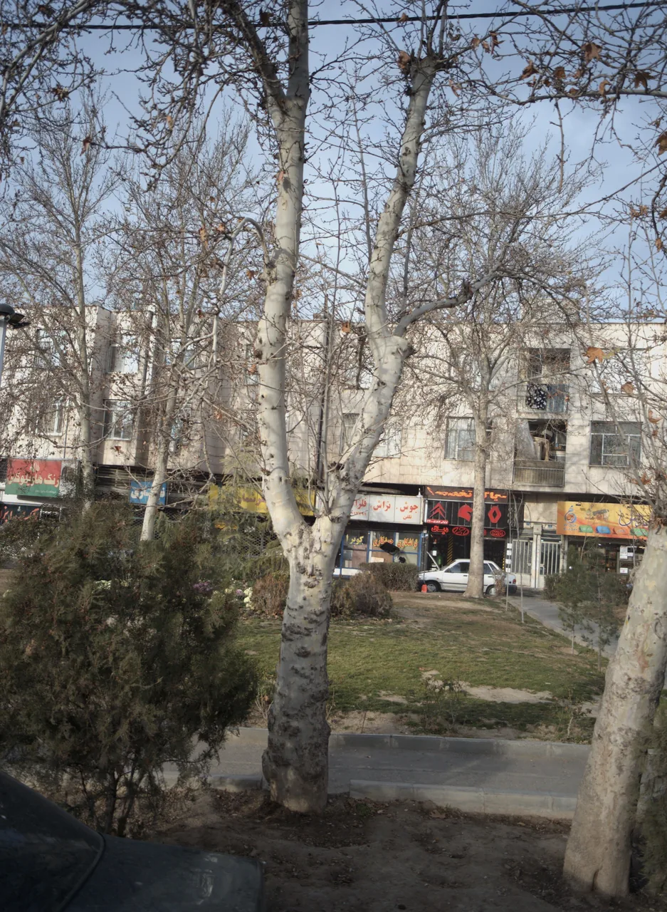 تعمیرگاه اولیائی