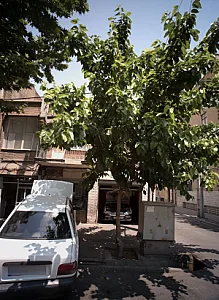 تعمیرگاه