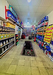 اتوسرویس نوین